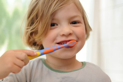 Germany has an impressive legacy of scientific research, engineering and design. Many things such as Mercedes cars and Bosch washing machines are recognised around the world but here are 10 everyday items you didn't even realise were German. Toddler Teeth Brushing, Dental Decay, Dental Insurance Plans, Dental Health Month, Sikat Gigi, Kids Teeth, Family Dental, Dental Insurance, Dental Services