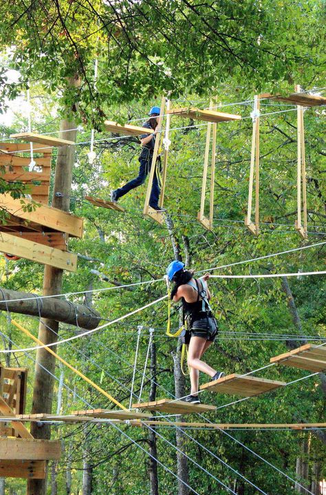 Break free of the concrete jungle and find these outdoor adventures and more in New York City's beachfront backyard. Here are 5 things to do on Long Island. Photo credit: My Photo Journeys Zip Line Backyard, Ropes Course, Forest Adventure, Coban, Air Terjun, Backyard Inspiration, Adventure Activities, New Forest, Adventure Park