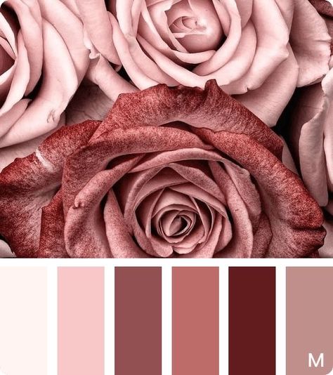 Dusty Rose Mood Board, Royalty Color Palette, Old Rose Color Palette, Rose Color Palette, Old Rose Color, Style Tips And Tricks, Neutral Pink, Color Schemes Colour Palettes, Paint Color Palettes