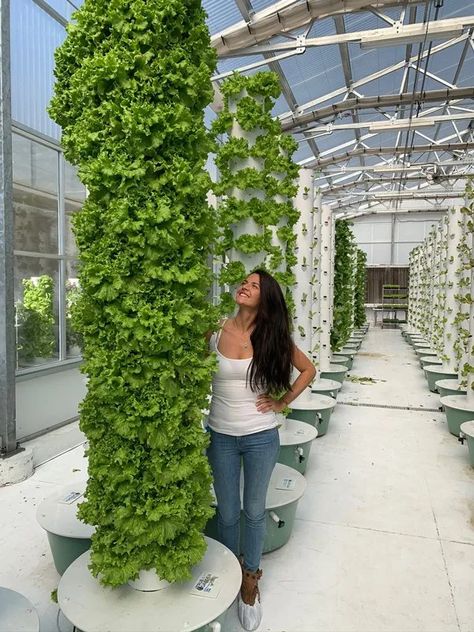 muir-lettuce-tower-garden Vertical Lettuce Garden, Aeroponic Tower Garden, Lettuce Tower, Mediterranean Garden Courtyard, Vertical Garden Tower, Aeroponic Tower, Hydroponic Tower, Aeroponic Gardening, Hydroponic Gardening Diy