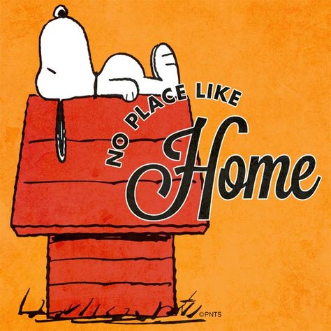 No place like home. Charlie Brown And Friends, Brown And Friends, Snoopy And Charlie Brown, Peanut Gang, Peanuts Cartoon, Snoopy Quotes, Peanuts Characters, Snoop Dog, Snoopy Friends