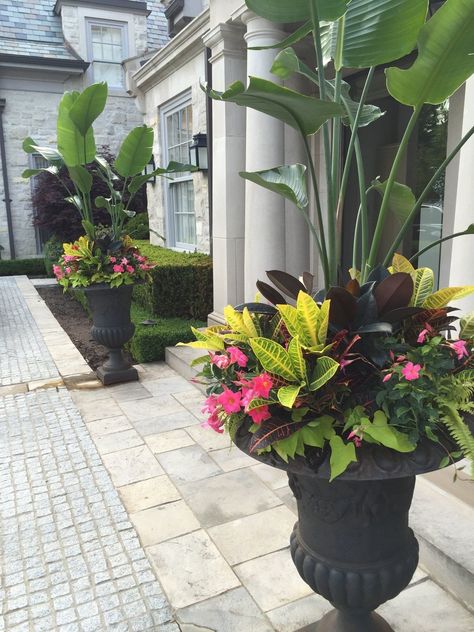 Tropical Planters, Patio Flower Pots, Backyard Resort, Outdoor Urns, Pool Plants, Summer Planter, Porch Plants, Patio Flowers, Porch Flowers