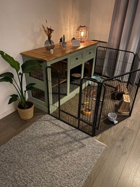 Dog Nook Ideas, Dog Room Design, Indoor Rabbit House, Dog Nook, Bunny Cage, Pet Bunny Rabbits, Sunroom Ideas, Indoor Rabbit, Bunny Cages