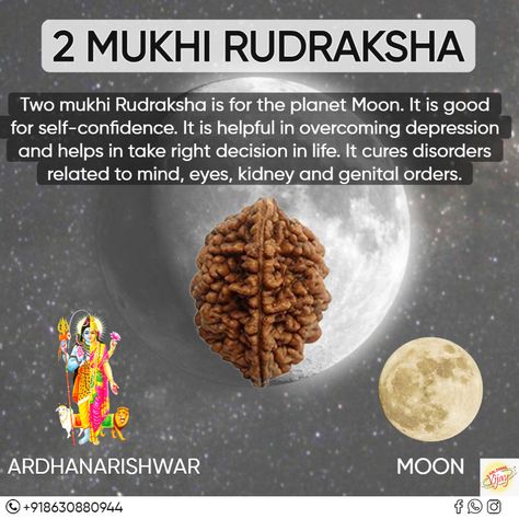 The 2 mukhi Rudraksha bead is the symbol of unification of mind and soul symbolized by Shiva and Parvati or the Shivlvlanga. The wearer of this Rudraksha is blessed with wealth, happiness and inner bliss and fulfillment of desires. It also promotes harmony, gives emotional stability in all relationships and provides positive healing energy is to mind and emotions. This divine Rudraksha should be worn by those who need to enhance their relationship with the self and others. Rudraksha Meaning, Natural Protein Shake Recipes, Natural Protein Shakes, Vedic Knowledge, Shiva And Parvati, Vijay Kumar, Hanuman Wallpapers, Rudraksha Beads, Emotional Stability