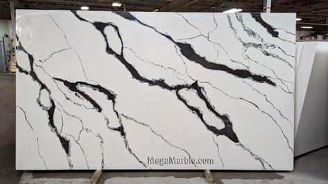 Black And White Granite Kitchen, White And Black Countertops, Black And White Quartz Countertops, Black And White Granite Countertops, Black And White Quartz, Quartz Bathroom Countertops, White Granite Kitchen, Florida Kitchen, Kitchen Stone