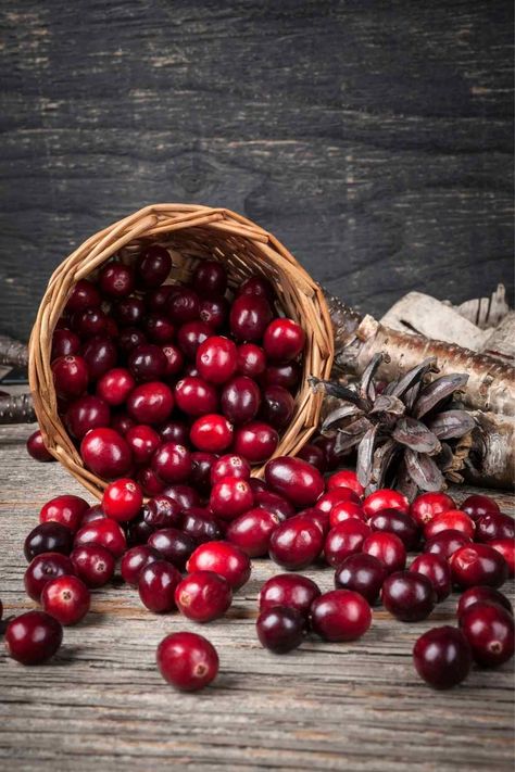 Cranberry Powder, Honey Candle, Healthy Man, Natural Fragrance Oil, Candle Supplies, Clean Fragrance, Eating Tips, Fresh Cranberries, Heart Healthy Recipes