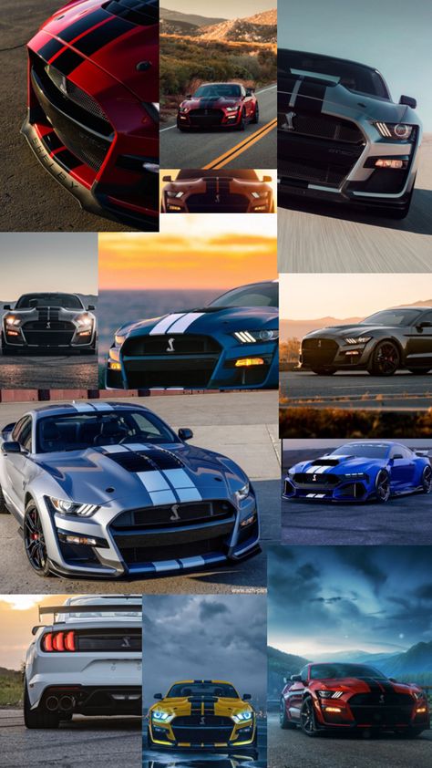 Collage Shelby Wallpaper, Mustang Gt500 Shelby, Gt500 Shelby, Shelby Gt 500, Mustang Wallpaper, Ford Mustang Cobra, Mustang Gt500, Ford Mustang Car, Ford Mustang Shelby Gt500