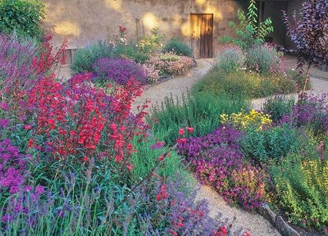 Cottage Garden Drought Tolerant, Landscaping Drought Tolerant, Water Saving Landscape, Colorful Perennials, California Landscaping, Walkway Garden, California Native Garden, High Country Gardens, California Backyard