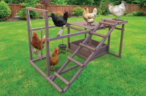 Chicken Playground, Chicken Roost, Arsitektur Art Deco, Cute Chicken Coops, Backyard Chicken Coop Plans, Chicken Toys, Diy Chicken Coop Plans, Chicken Coop Run, Backyard Chicken Farming