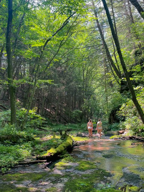 Pennsylvania Hiking, Funny Swimsuit, Resolution Board, Retreat Cabin, Mountains Valley, Pennsylvania Mountains, Girls Fishing, Train Bridge, Valley River