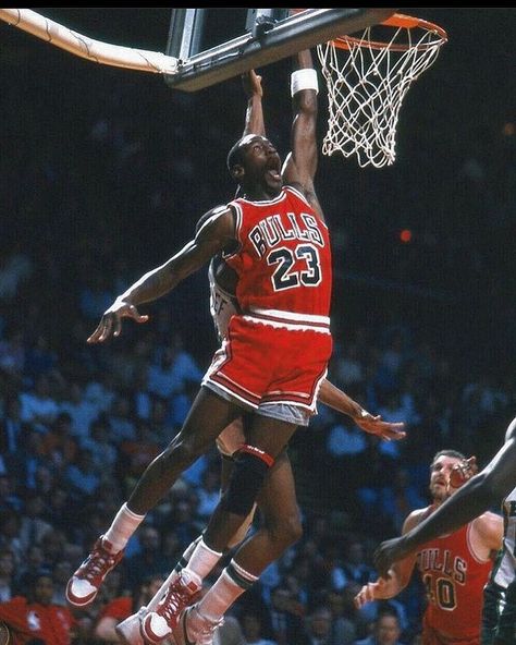 Michael Air Jordan (@michaelairjordans) • fotos e vídeos do Instagram Jordan Pictures, Nba Highlights, Nba Superstars, 23 Jordan, Usa Dream, 90s Nba, Michael Jordan Photos, Jeffrey Jordan, Michael Jordan Pictures