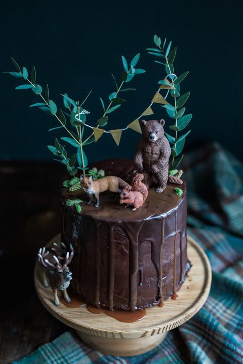 Woodsy Cake, Campfire Cake, Nature Cake, Toasting Marshmallows, Woodland Cake, Ganache Frosting, Wedding Cake Rustic, Roasting Marshmallows, Open Fire