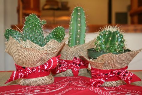 Cowgirl / Cowboy Party cacti centerpiece | Wild West Party | Pinterest Cowboy Party Centerpiece, Western Centerpieces, Cactus Centerpiece, Wild West Birthday, Cowboy Theme Party, Wild West Theme, Wild West Party, Western Birthday Party, Rodeo Party