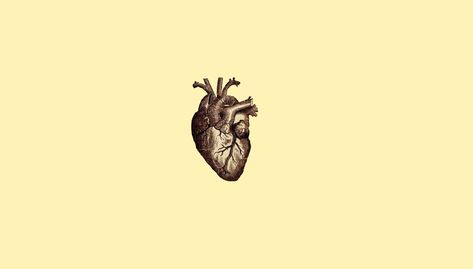 human heart illustration digital art #minimalism #simple simple background #drawing #anatomy #heart #veins #medicine #720P #wallpaper #hdwallpaper #desktop Veins Anatomical, Wallpaper Medicine, Medicine Wallpaper, Medicine Background, Drawing Medical, Nursing Wallpaper, Desktop Wallpaper Macbook, Star Platinum, Background Heart