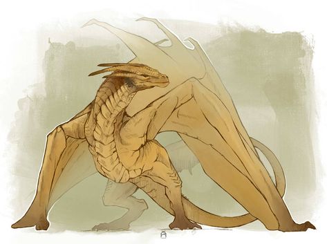 Dragon Poses, Dragon Anatomy, Got Dragons, Targaryen Art, Asoiaf Art, Dragon Sketch, Gra O Tron, Dragon Pictures, Fantasy Creatures Art