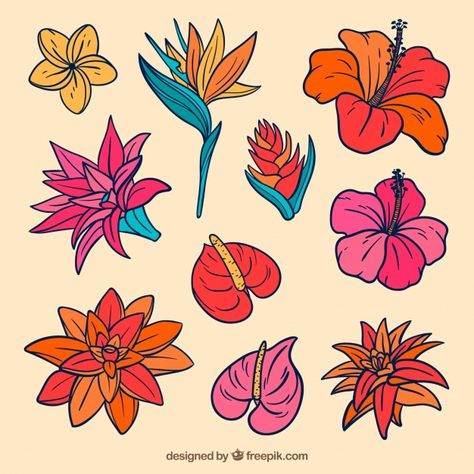 https://www.freepik.com/free-vector/lovely-hand-drawn-tropical-flower-collection_2700553.htm Tropical Flowers Line Art, Tropical Flower Doodle, Tropical Flower Mural, Tropical Flowers Drawing, Tropical Doodles, Tropical Flowers Illustration, Tropical Flower Design, Rainforest Flowers, Plant Doodle