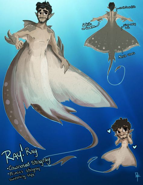 Ray!Ray~ “Warmup” *cough cough* for the day; I wanted to get his design down cause the whole stingray bit was pretty crazy to design for, especially in the traditional “mermaid” style. Eventually came down to this one. Ray uses both his arms and his... Merman Pose Reference, Life In Cartoon Motion, Ray Ray, Humanoid Creatures, Mermaid Drawings, Ange Demon, Mermaids And Mermen, Mythical Creatures Art, Mythological Creatures