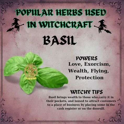 Common herbs used in witchcraft include: - **Sage**: Often used for cleansing and protection. - **Rosemary**: Associated with memory and fidelity, used in rituals for clarity. - **Lavender**: Known for promoting peace and tranquility, often used in love spells. - **Mugwort**: Used for enhancing dreams and psychic abilities. - **Basil**: Believed to attract wealth and protect against negativity. These herbs are valued for their symbolic meanings and practical applications in various magical ... Basil Spells, Sage Meaning Witchcraft, Herbs Meaning Witchcraft, Protection Herbs Witchcraft, Basil Witchcraft, Rosemary Witchcraft Uses, Herbs Used In Witchcraft, Sage In Witchcraft, Herb Meanings