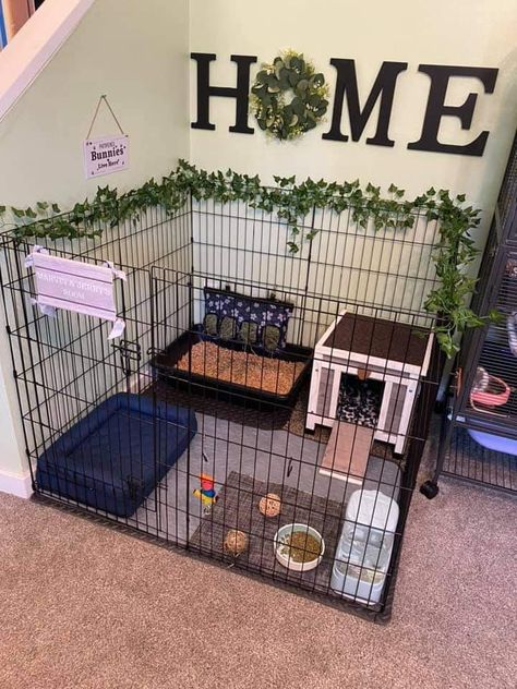 Cute Indoor Bunny House, Pet Cage Ideas Dogs, Dog Crate Rabbit Cage Diy, Bunny X Pen Set Up, Dog Kennel Rabbit Cage, Rabbit Enclosure Indoor Ideas, Indoor Rabbit Setup Bunny Cages, Small Rabbit Cage, Cute Dog Cage Ideas