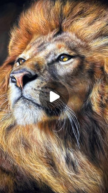 Soft Pastel Art Portraits, Soft Pastel Drawings, Colorful Lion Painting, Soft Pastel Drawing, Soft Pastels Drawing, Colored Pencil Portrait, Lion Artwork, Soft Pastel Art, Majestic Lion