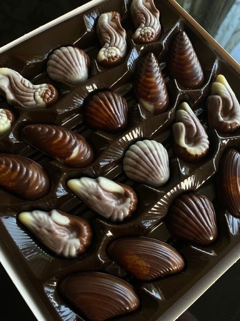 Seashell Chocolates, Turkish Aesthetic, Shell Chocolate, Sleepover Food, Chocolate Shells, Food Is Fuel, Food Obsession, Cafe Food, Interesting Food Recipes