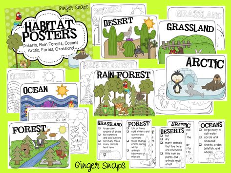 Ginger Habitat Posters, Animal Habitats Preschool, Treats For Teachers, Zoo Boo, Plant Adaptations, Grassland Habitat, Habitats Projects, Fall Science, Animal Habitat