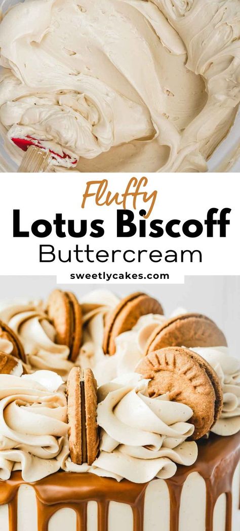 Elevate your baked goods with the heavenly flavor of Lotus Biscoff using this delectable Biscoff Buttercream recipe. Made with creamy Lotus cookie butter spread, this easy-to-make frosting is perfect for filling and covering layer cakes or topping cupcakes, offering a creamy and indulgent taste of cookie butter in every swirl. Lotus Biscoff Layer Cake, Biscoff Filling Recipe, Biscoff Buttercream Frosting, Cake And Icing Flavor Combinations, Biscoff Treats, Lotus Biscoff Recipes, Biscoff Cake Recipe, Biscoff Frosting, Buttercream Flavors