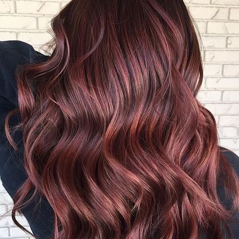 Redken Shades EQ Toner in 5RV😍 This rich, warm red😊🙌 #redkenshadeseq #redkencolor 5rv Hair Color, Mauve Hair, Burgundy Balayage, Aveda Hair Color, Mahogany Hair, Warm Hair Color, Wine Red Hair, Aveda Hair, Perfect Hair Color