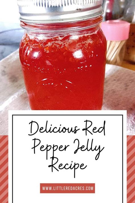 Spice Up Your Snacks: A Delicious Red Pepper Jelly Recipe Hot Red Pepper Jelly Recipe, Jelly Pepper Recipe, How To Make Red Pepper Jelly, Canning Red Peppers, Red Pepper Jelly Recipe Canning, Canning Red Pepper Jelly, Sweet Red Pepper Jelly Recipe, Red Pepper Jelly Recipe With Liquid Pectin, Best Pepper Jelly Recipe