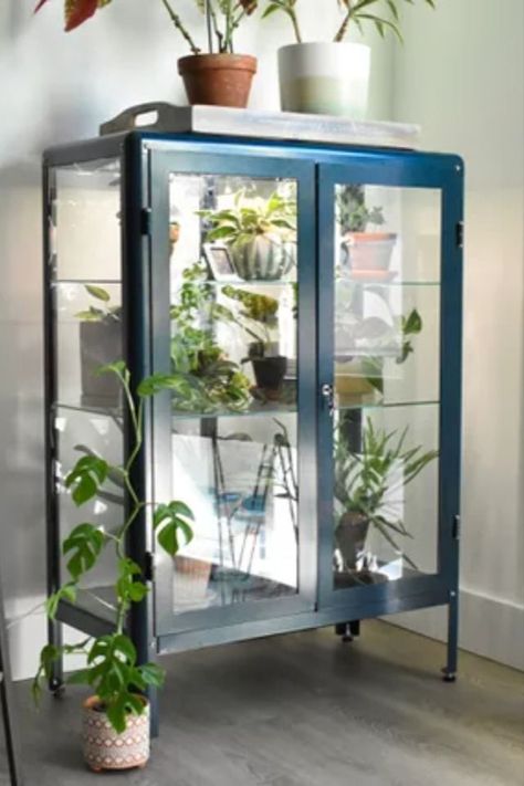 There's no denying how charming IKEA greenhouse cabinets are. If you have one or are interested in creating your own, here are 7 products we recommend having. #IKEA #GreenhouseCabinet #Plants #PlantCabinet #TheSpruce Ikea Plant Cabinet Greenhouse, Greenhouse Bookshelf, Plant China Cabinet, Diy Ikea Greenhouse, Glass Cabinet For Plants, Ikea Cabinet Plants, Ikea Indoor Greenhouse, Ikea Green House Cabinet, Greenhouse Ikea Cabinet