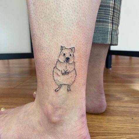 Pika Tattoo, Quokka Tattoo, Human Doodle, Red Panda Tattoo, Quokka Animal, Tattoos 2023, Tattoo Apprentice, Tattoo Illustration, Best Friend Tattoos