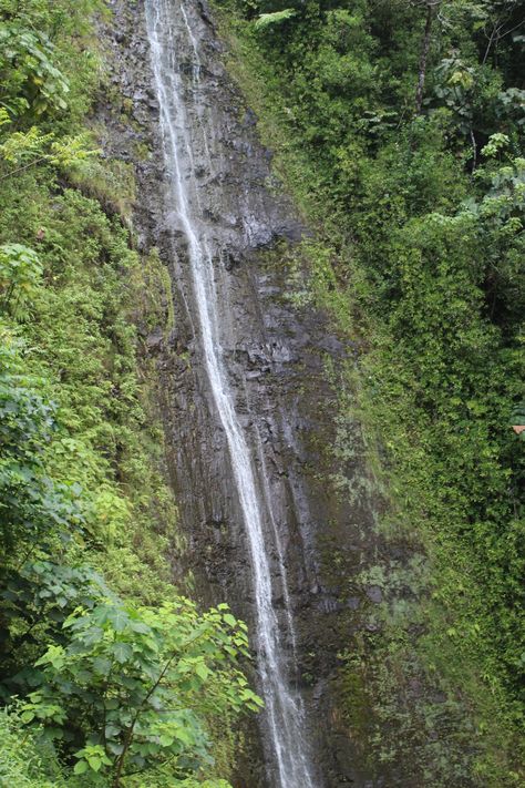 Manoa Falls: A Place of Natural Healing – The Pink Chickadee Manoa Falls, Hawaii Hikes, Virginia Wine Country, Month Of September, Winter Work, Long Trips, Breath Of Fresh Air, September 2024, Wine Country