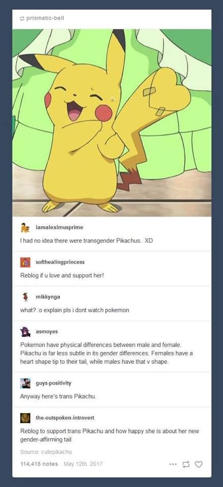 Trans Pikachu, Trans Hunter, Trans Male Art, Genderfluid Art, Ash Baby, Ash And Pikachu, All Out Anime, Lgbt Humor, Lgbt Memes