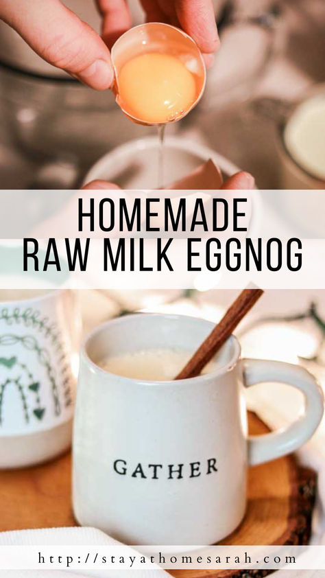 Homemade Raw Milk Eggnog Recipe - Stay at Home Sarah Egg Milk Recipe, Egg Nogg Recipe, Egg Nog Recipe Homemade, Nourishing Snacks, Virgin Cocktail Recipes, Alcoholic Eggnog, Raw Dairy, Goat Milk Recipes, Dairy Recipes