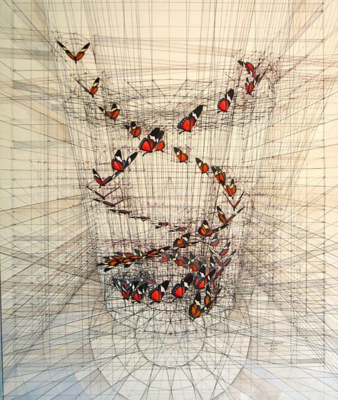 venezuelan artist Rafael Araujo Fibonacci Spiral, Drawing Table, Math Art, Geometry Art, Pacific Rim, Scientific Illustration, Technical Drawing, Pen Drawing, Geometric Art