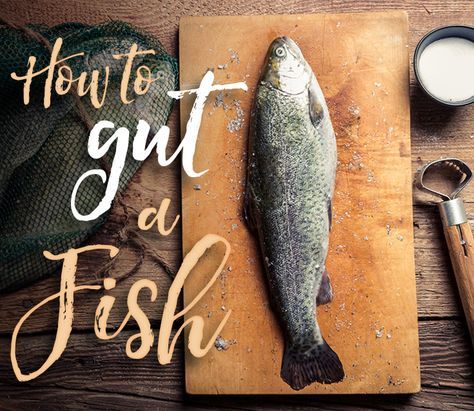 How To Clean Fish, Gutting Fish, Active Hobbies, Minnow Trap, Fred Bear, Fishermans Knot, Fry Fish, Fishing Basics, How To Fish