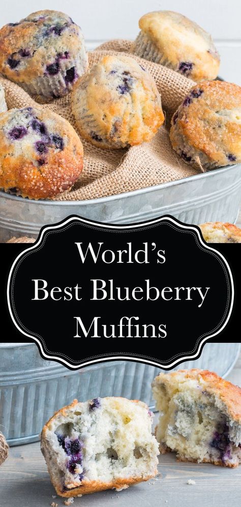 These blueberry muffins are everyone's favourite! Super easy to make with frozen berries, I always get asked for the recipe when I bring them somewhere!   #muffin #muffins #blueberry #blueberries #blueberrymuffin #snack #recipe #delicious #food Blueberry Muffin Bites, Large Batch Blueberry Muffins, Blueberry Recipes Using Frozen Blueberries, Costco Blueberry Muffin Recipe Copycat, Frozen Blueberry Breakfast Recipes, Blueberry Buckle Recipe Easy, Copycat Costco Muffins, Nonperishable Food Meals, Easy Blueberry Muffins Recipe