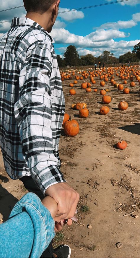 fall holding hands couple pumpkin picking Cold Fall Couple Pictures, Fall Time Couple Pictures, Cute Fall Relationship Goals, Couple At Pumpkin Patch, Pumpkin Patch Photo Shoot Couples, Cute Couple Pics At Pumpkin Patch, Fall Date Pictures, Cute Couple Pics Pumpkin Patch, Couple Carving Pumpkins Ideas