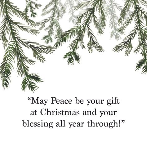 "May Peace be your gift at Christmas and your blessing all year through." Peace Christmas Quotes, Peace Poems, Christmas Peace, Rock Quotes, Christmas Phrases, Christmas Blessings, Peace Quotes, Motivational Words, World Peace