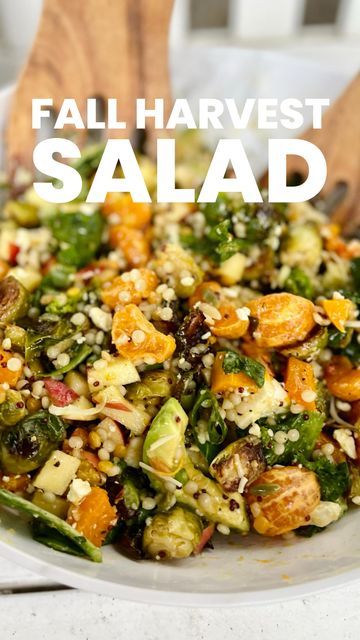 Trader Joe’s Harvest Blend Recipes, Harvest Blend Trader Joes, Trader Joes Harvest Blend Recipes, Trader Joe’s Harvest Grains Blend Recipes, Harvest Blend Trader Joes Recipes, Orzo Salads, Fall Harvest Salad, Southern Greens, Orzo Salad Recipes