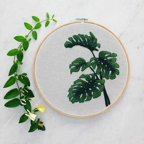 Embroidery Monstera Leaf, Embroidery Monstera, Monstera Embroidery, Embroidery Tshirt, Hand Drawn Pattern, Stitch Embroidery, Monstera Leaf, Embroidery Pattern, Embroidery Projects