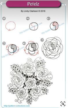 Zantangle Art, Tangled Flower, How To Draw Flowers, Zentangle Flowers, Flower Step By Step, Zen Doodle Patterns, Zentangle Tutorial, Draw Flowers, Flower Drawing Tutorials