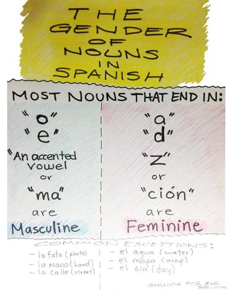 How to know if a word is Masculine or Feminine in Spanish? (Differentiate the Gender of Singular and Plural Nouns) – Spanish for Your Job Spanish Adjectives, Basic Spanish Words, Singular And Plural Nouns, Singular Nouns, Learning Languages Tips, Nouns And Adjectives, Singular And Plural, Spanish Teaching Resources, Elementary Spanish