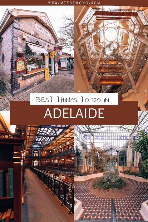 16 amazing Things to do in Adelaide Things To Do In Adelaide, Adelaide Australia City, Portland Victoria Australia, Adelaide Australia Aesthetic, Adelaide Aesthetic, Glenelg Adelaide, Travel In Australia, Adelaide City, Jacaranda Trees