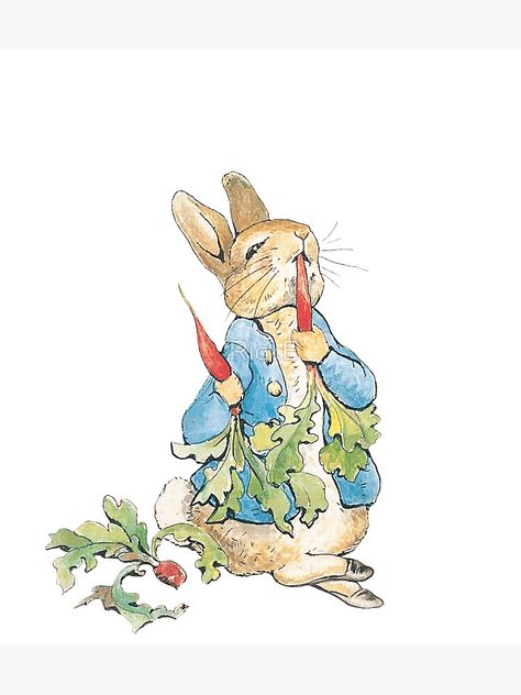 "Peter Rabbit Eating Carrots" Sticker by RickE | Redbubble Peter Rabbit Wallpaper, Peter Rabbit Pictures, Peter Rabbit Illustration, Fiber Art Collage, Hare Illustration, Beatrix Potter Illustrations, Young Rabbit, Rabbit Family, Rabbit Wallpaper