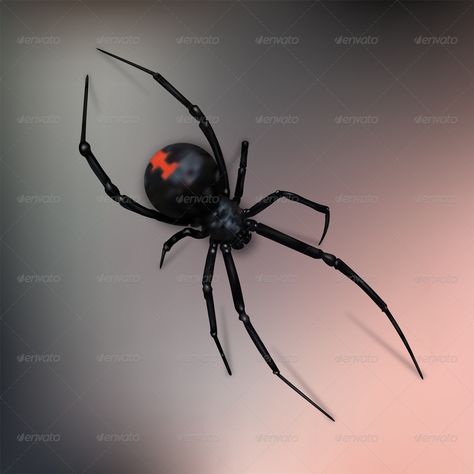 Black Widow Spider Preview - GraphicRiver Black Widow Spider Photography, Black Widow Tattoo Spiders, Black Widow Spider Tattoo Design, Black Widow Spider Art, Black Widow Spider Drawing, Black Widow Tattoo Design, Widow Spider Tattoo, Spider Reference, Spider Black Widow