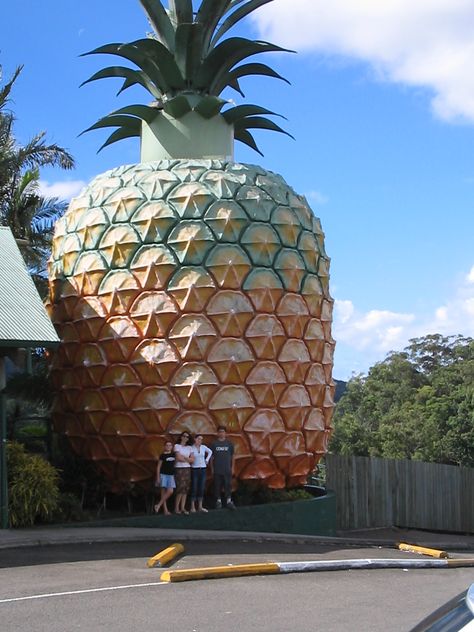 Attractions In Alabama | Things To Do In Alabama | Places To Visit In Alabama . www.visitingmontgomery.com/play Big Pineapple, Moving Overseas, Unusual Buildings, Roadside Attractions, Orange Beach, Tourist Attraction, Queensland, Vacation Spots, Worlds Largest