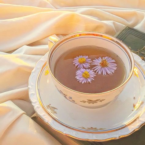 Daisy flower, flower, Tea, chamomile tea, aesthetic, Korean feed ig, Instagram Chamomile Tea Aesthetic, Calming Food, Teas Test, Korean Tea, Tea Aesthetic, Soft Kidcore, Yellow Aesthetic Pastel, Aesthetic Korean, Honey Buns