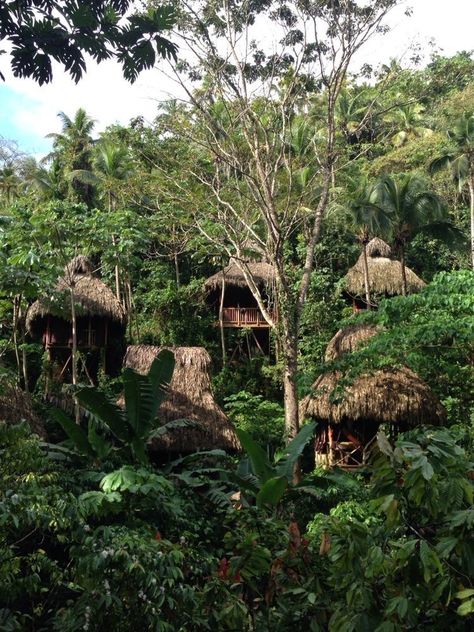 tarzan aesthetic Jungle Treehouse Aesthetic, Tarzan Aesthetic, Hut Aesthetic, Hut Village, Jungle Treehouse, Living In The Jungle, Treehouse Village, Jungle Village, Jungle Hut