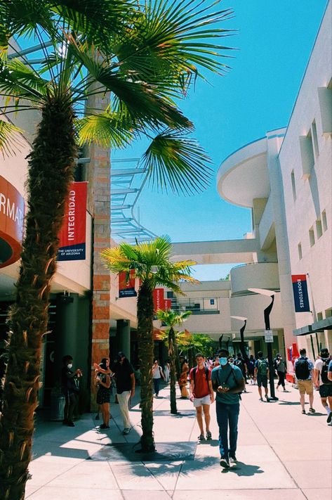 University Of Arizona Aesthetic, U Of Arizona, University Of Arizona Campus, Arizona Aesthetic, College Ideas, Dream College, Dream School, University Of Arizona, 2024 Vision